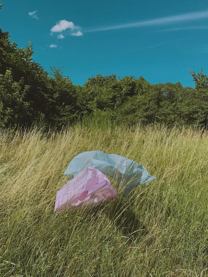 Pour une imprimerie plus respectueuse de l'environnement